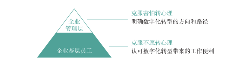 663dcb5215d0d.png 663dcb5215d0d.png
