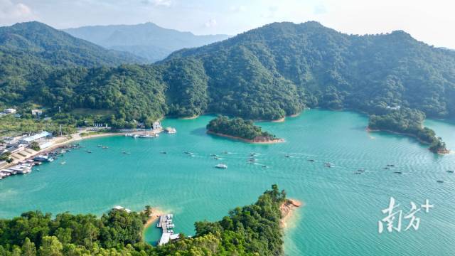 环万绿湖“湖泊+”绿色发展区涵盖环万绿湖周边的河源以及韶关新丰、惠州龙门部分区域。资料图片