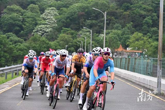2026河源·环万绿湖国际公路自行车赛现场，国内外车手在青山绿水间拼搏竞技。 南方+记者 李娇 摄