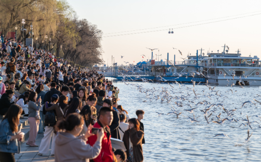 黑龙江“五一”消费市场：供需两...